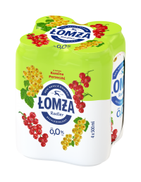 Puszka 500 ml 4-pak - Van Pur